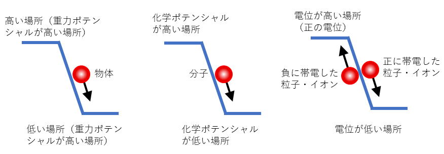 武田コロイドテクノ・コンサルティング株式会社